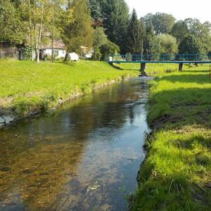 Gemeinsame Probenahme an Wasserläufen Spree, Rosenbach und Ritterbach #3