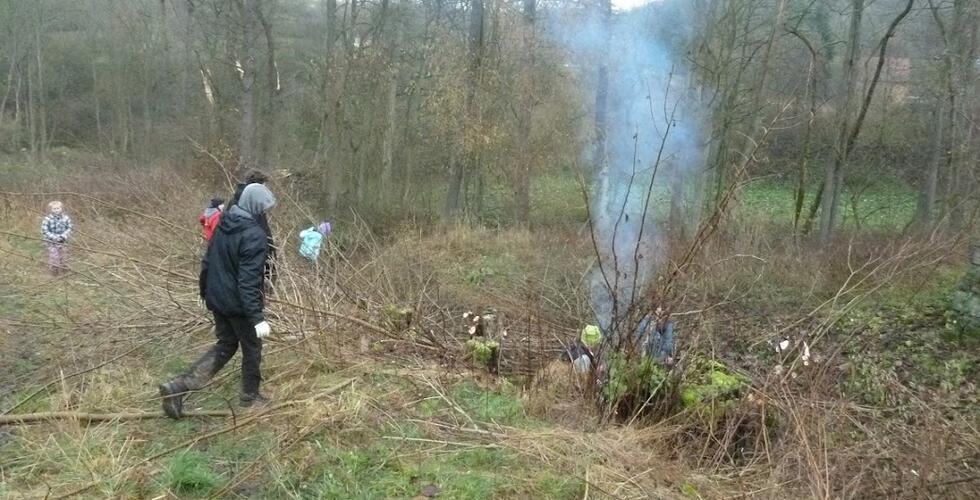 Ausschneiden invasiver Baumarten bei der Elbe