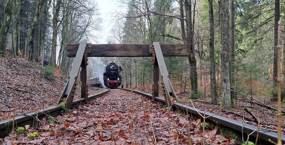 Bildungsveranstaltungen für die Öffentlichkeit  -  Holzhau-Moldava