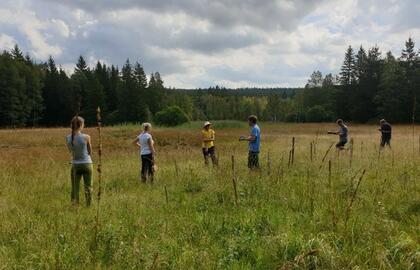 Odborná stáž u německého PP - monitoring hnědáska chrastavcového (Euphydryas aurinia)