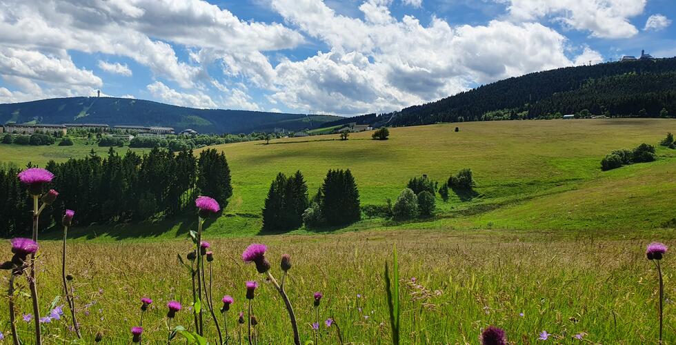 EURORANDO 2026 - Europäische Wandertreffen